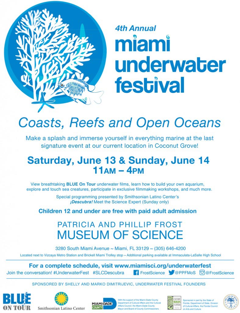 2015 underwater festival