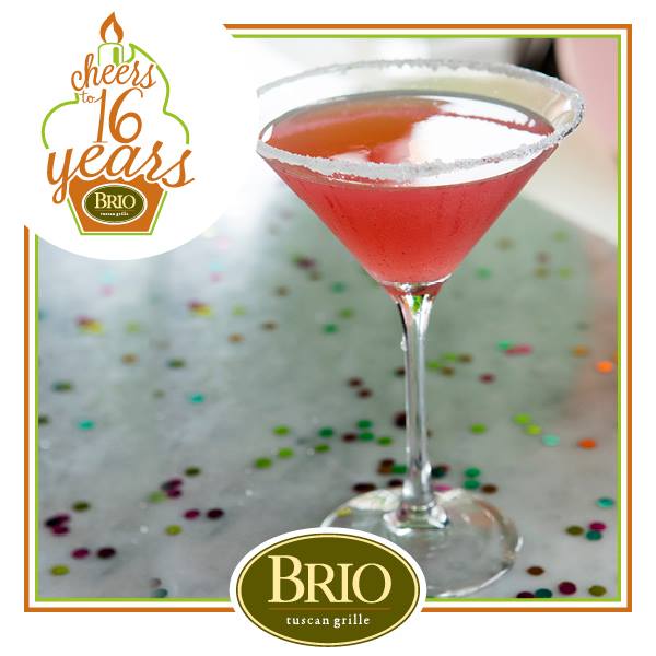 brio tuscan grille cheers to 16 years