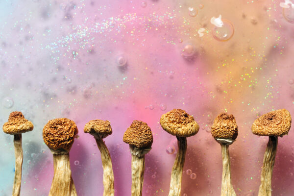 Psilocybin,Mushrooms,On,Pink,Bright,Colorful,Background.,Psychedelic,Magic,Mushrooms